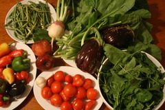 <p>Approach to farming and ranching that avoids the use of herbicides, pesticides, growth hormones, and other similar synthetic inputs.</p>