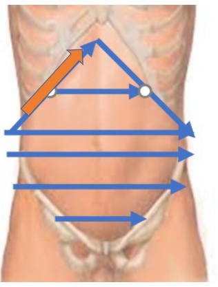 <p>percuss along costal margin, should go beyond costal margin, enlarged liver will be dull, liver normally found at 5-7 intercostal space, start RMCL at 3rd ics over lung tissue, then percuss downward towards liver to check for resonance to dullness, then start at rt MCL and umbilical area and percuss upward for tympany tp dullness, should be 6-12 cm</p>