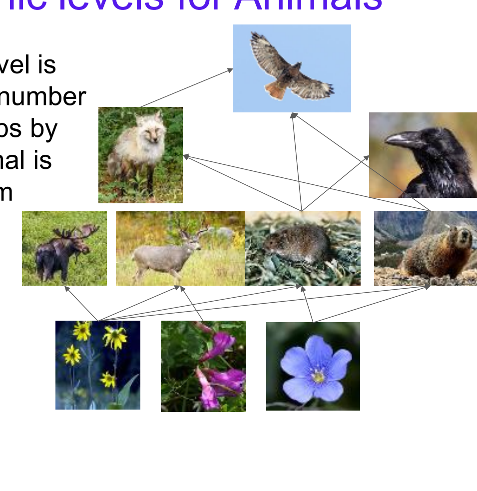 <p>The trophic level is based on the number of feeding steps by which an animal is separated from autotrophs.</p>