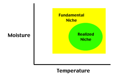 <p>Realized Niche?</p>