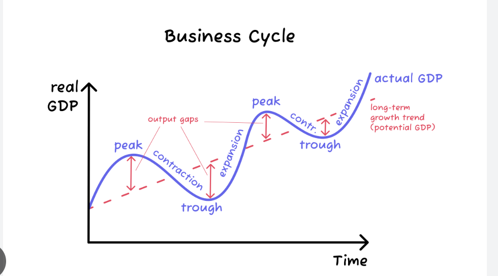 <p>Graph that shows periods of growth and slow/falling growth of GDP/output over time</p><ul><li><p>Phases: boom, recession, trough, recovery</p></li></ul><p></p>