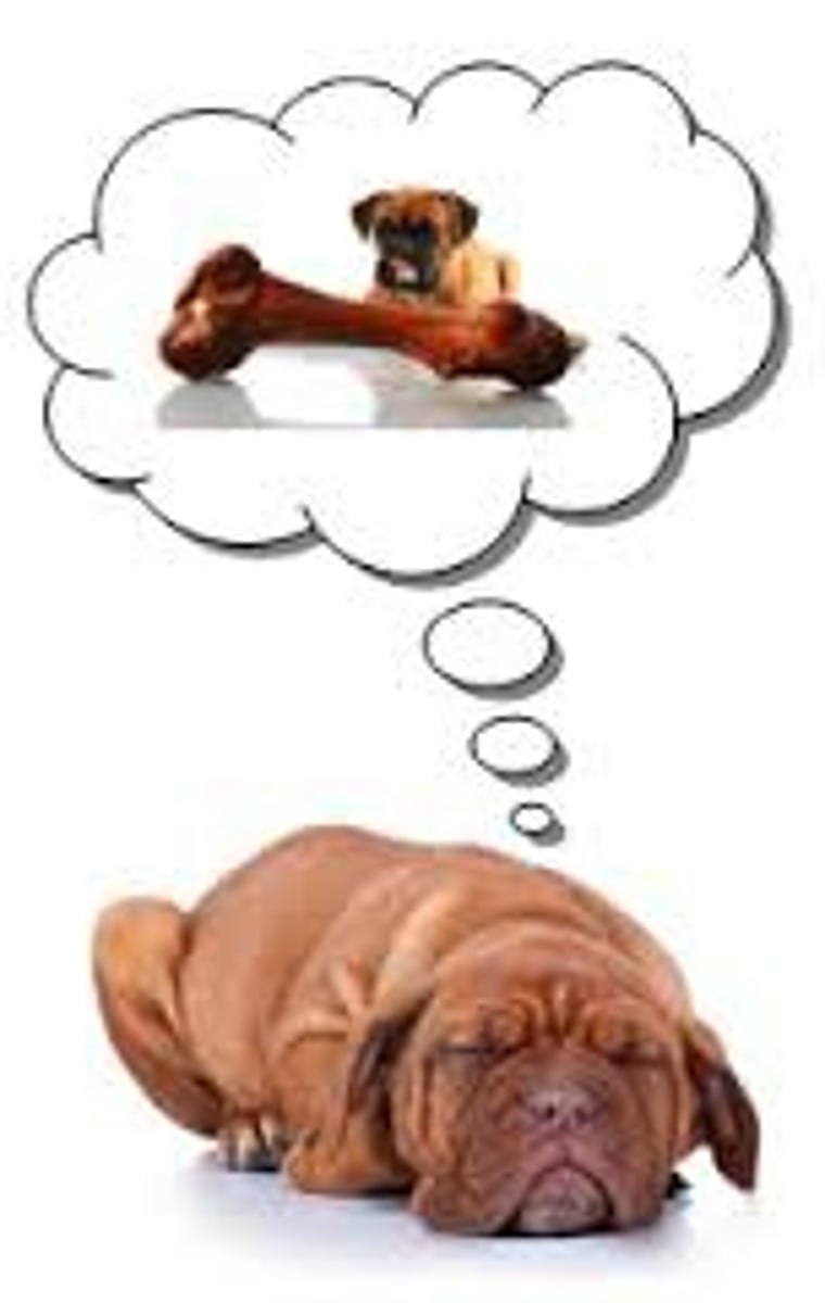 <p>not directly observed but are inferred from observable variables</p>
