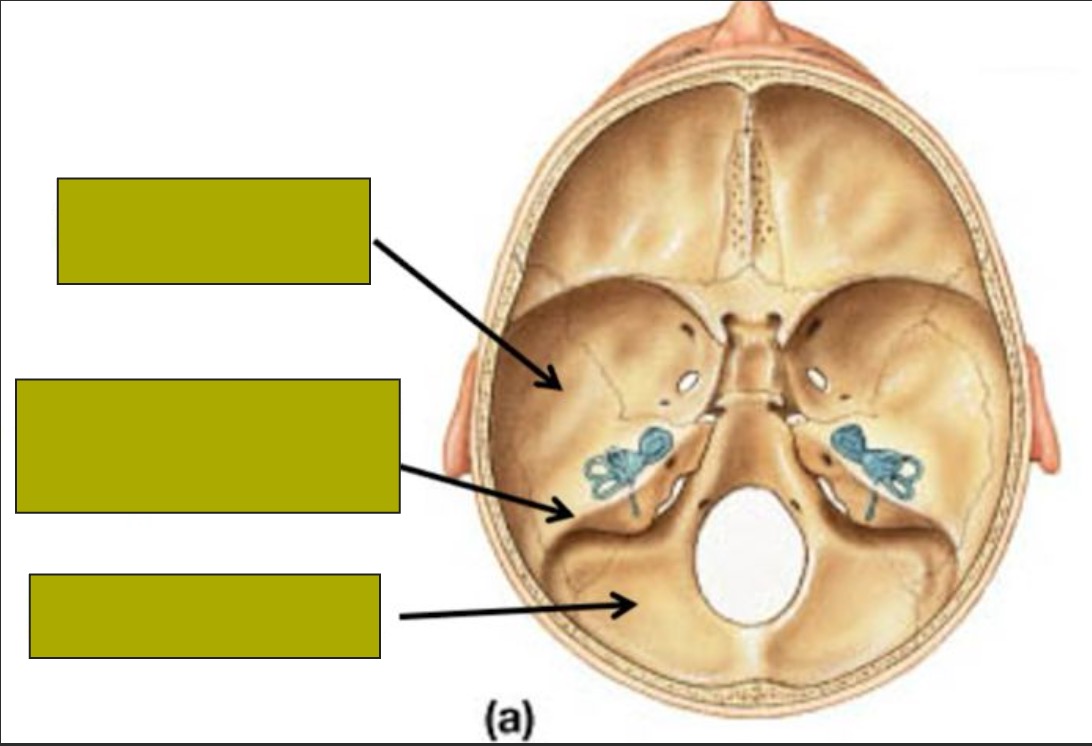 <p>Top to bottom</p>