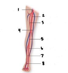 <p>1</p>