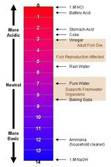 <p>pH of 7</p>