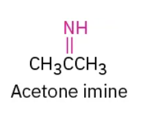 <p><strong>Imine</strong></p>