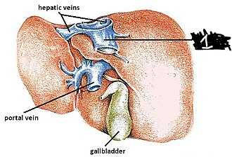 <p>1</p>