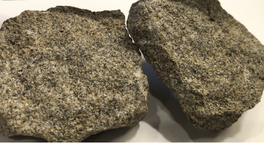 <p>Lithic Sandstone</p>