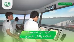 <p>Navigation</p>