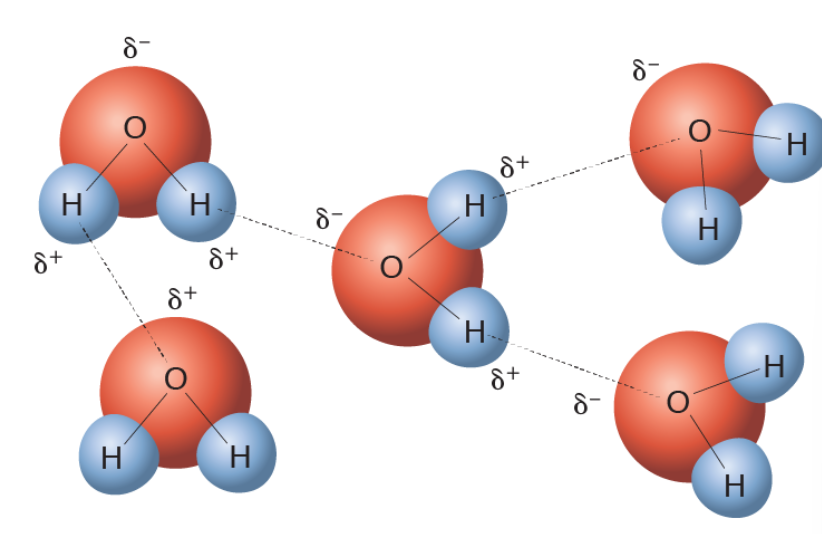 <p>this is an example of </p>