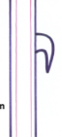 <p>prickle</p>