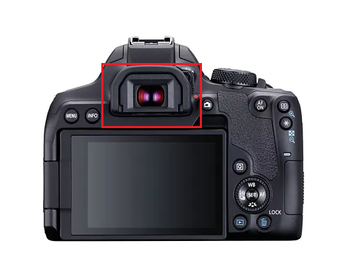 term image
