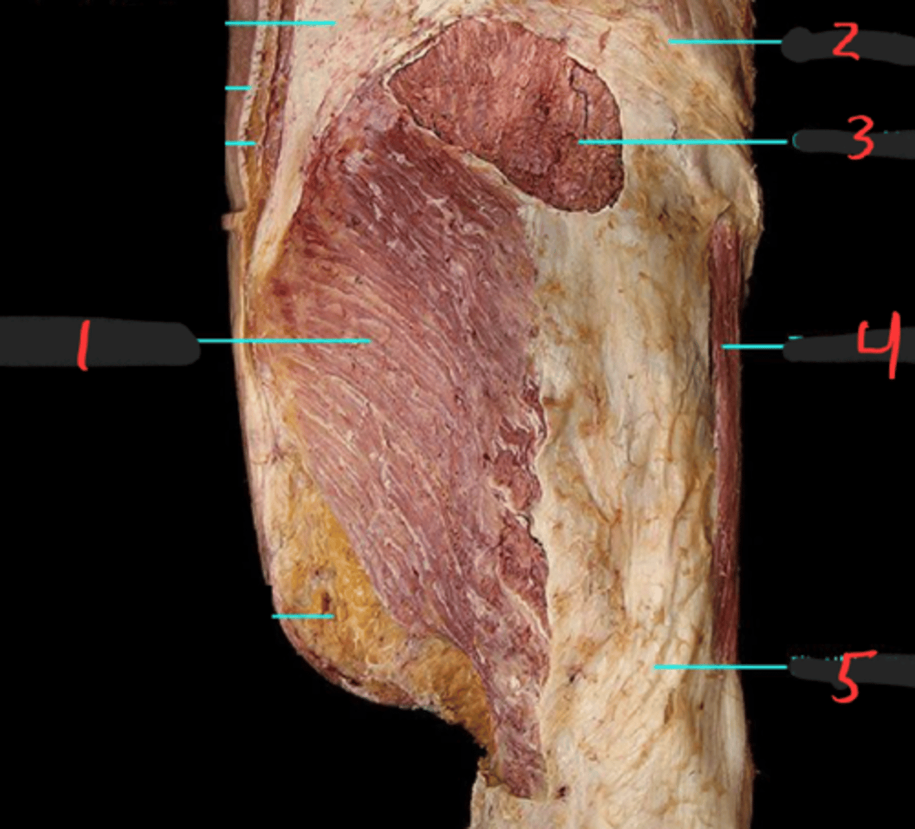 <p>1</p>