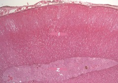 <p>name 2</p>
