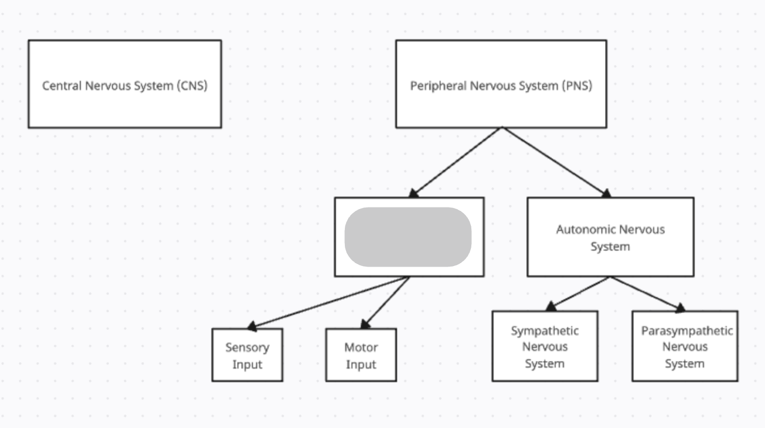 <p>It controls voluntary movement of skeletal muscles. It uses motor neurons (efferent) and sensory neurons (afferent).</p>