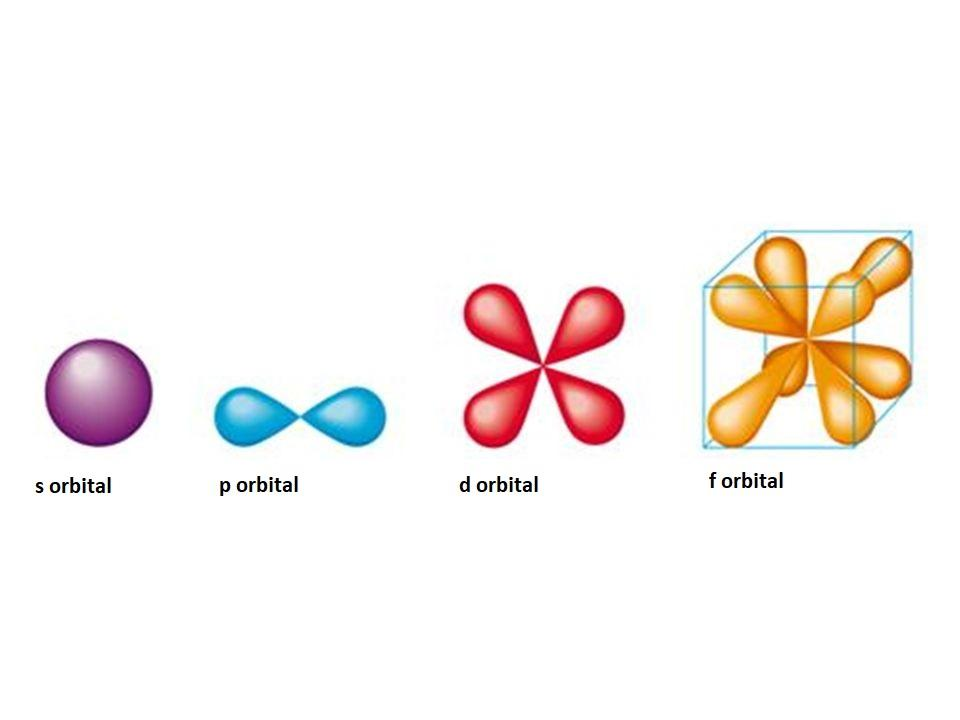 <p>s = 1 orbital (2 electrons)</p><p>p = 3 orbitals (3x2 = 6 electrons)</p><p>[px, py, pz]</p><p>d = 5 orbitals (5x2 = 10 electrons)</p><p>f = 7 orbitals (7x2 = 14 electrons)</p>