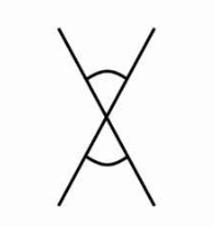 <p>2 lines intersect</p>