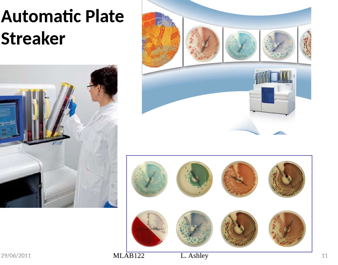 <ul><li><p>not very common but exist </p></li><li><p>It is used to plate samples on the media plate.</p></li><li><p>Many samples can be plated at a time.</p></li><li><p>It is fast,accurate and can give reproducible results</p></li></ul><p></p>