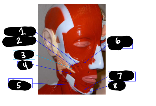 <p>4</p>