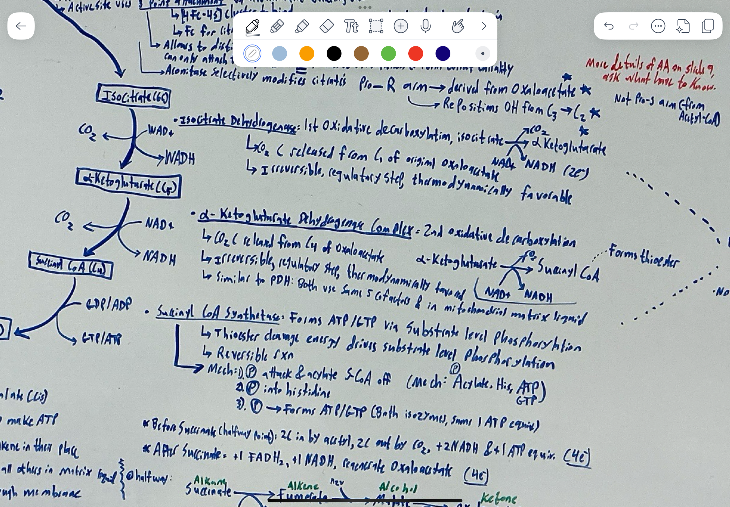 knowt flashcard image