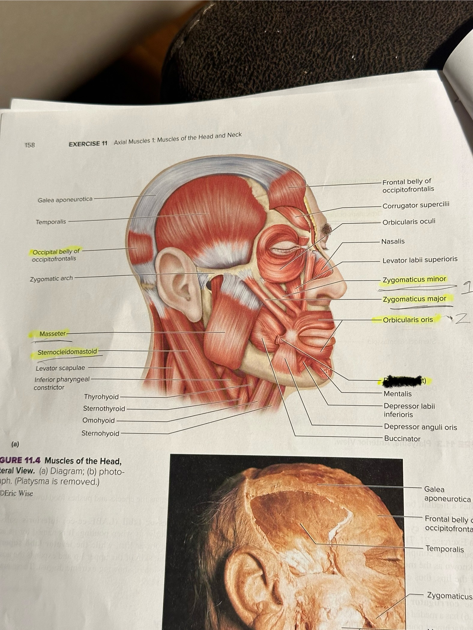 <p>Location crossed out </p>