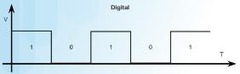 <p>Analog circuits and Digital circuits.</p>