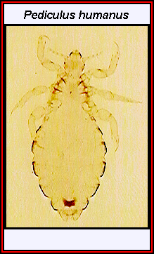 <p>what is this a picture of </p>