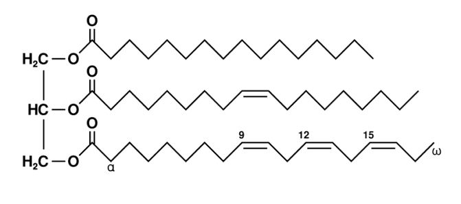 <p>What biomolecule has such structuring?</p>