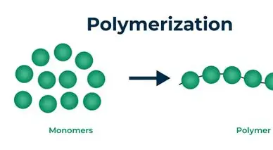 <p>polymerization</p>