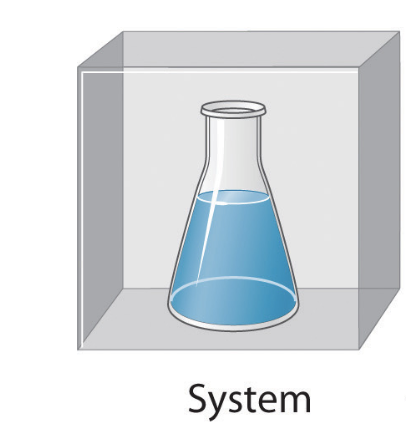 <p>the region being studied (molecules reacting, a cell, an organism, reaction vessel…)</p><p></p>