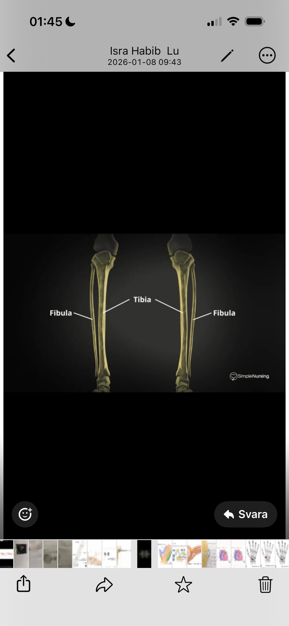 term image