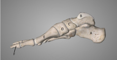 <p>b</p>