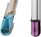 <p>In the Biuret Test, if it was negative, what does the color change/stay to?</p>