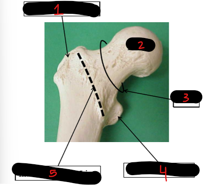 <p>4</p>