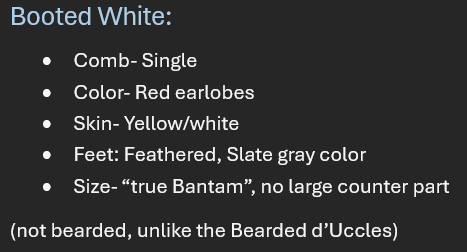 <p>Breed: Booted</p><p>Variety: White</p>