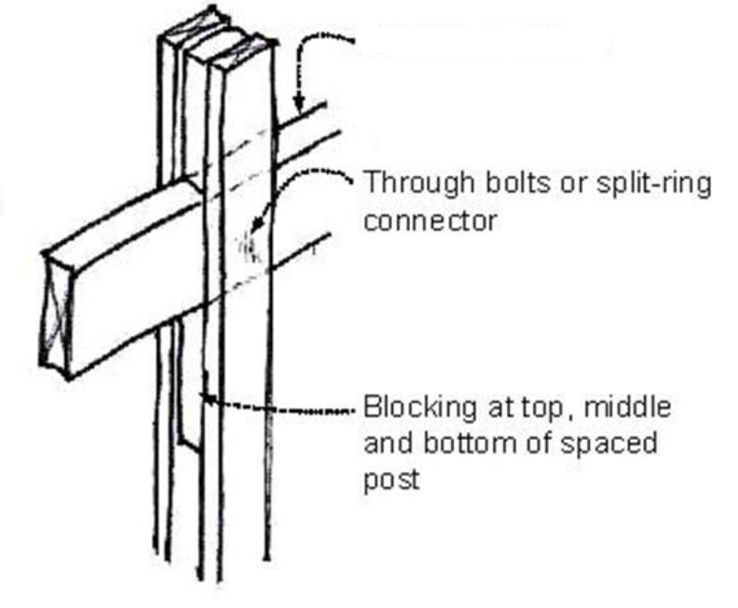 <p>Identify the arrow in the illustration.</p>