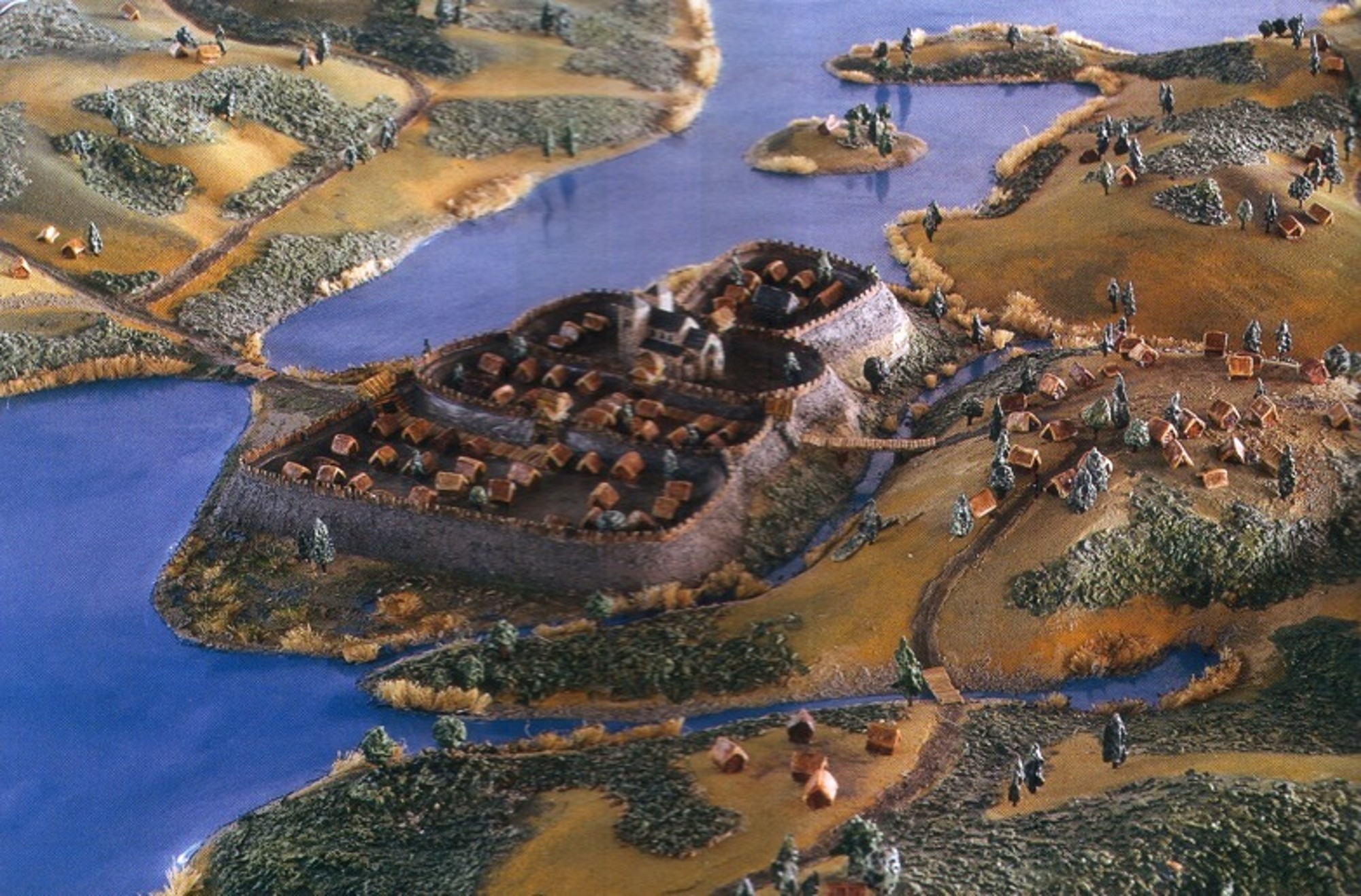 term image