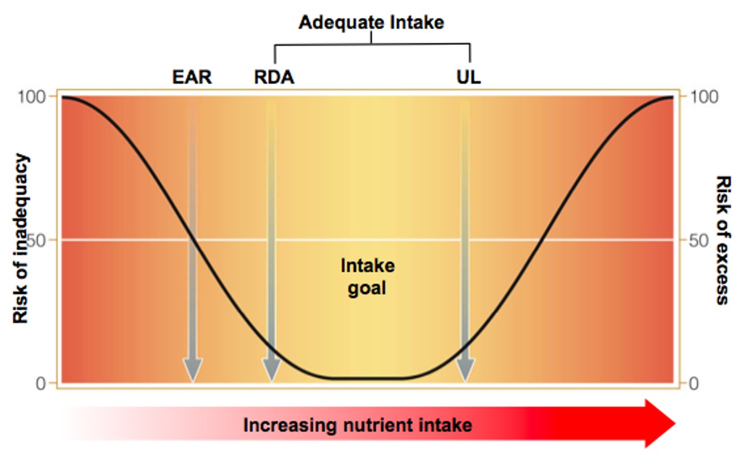 <p>0.8 grams per kilogram of body weight or 0.36 grams per pound.</p>