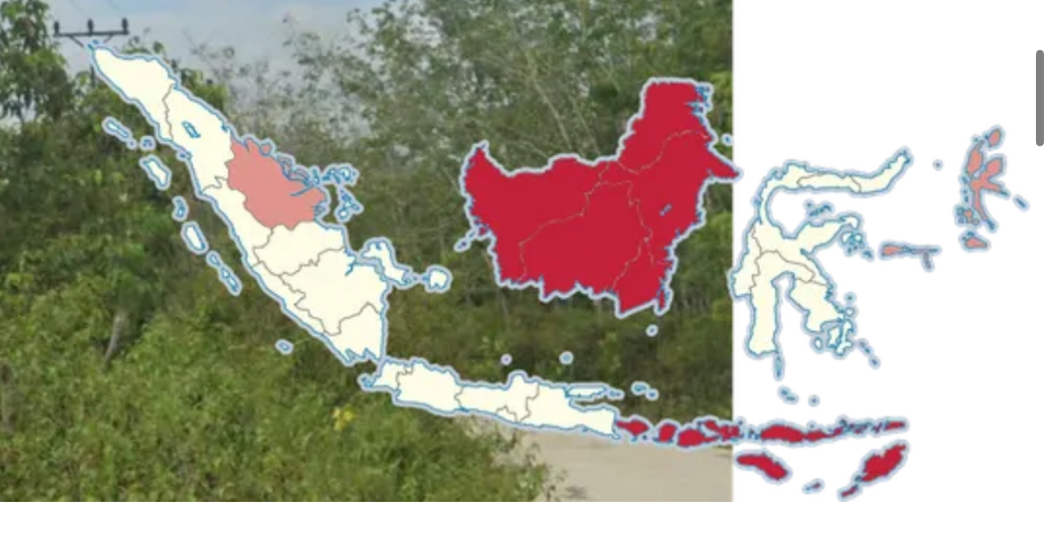 <p>Common in Kalimantan and Nusas</p>