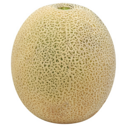 <p>melons cantaloupe 1ct loose</p>