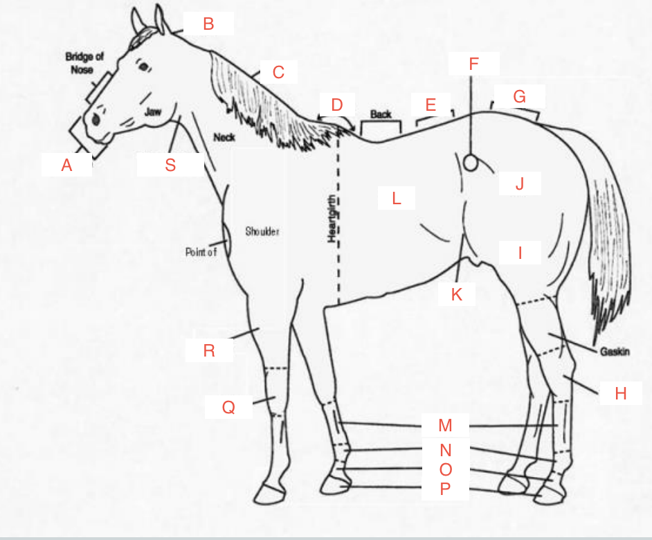 <p>what are the names of the labels </p>