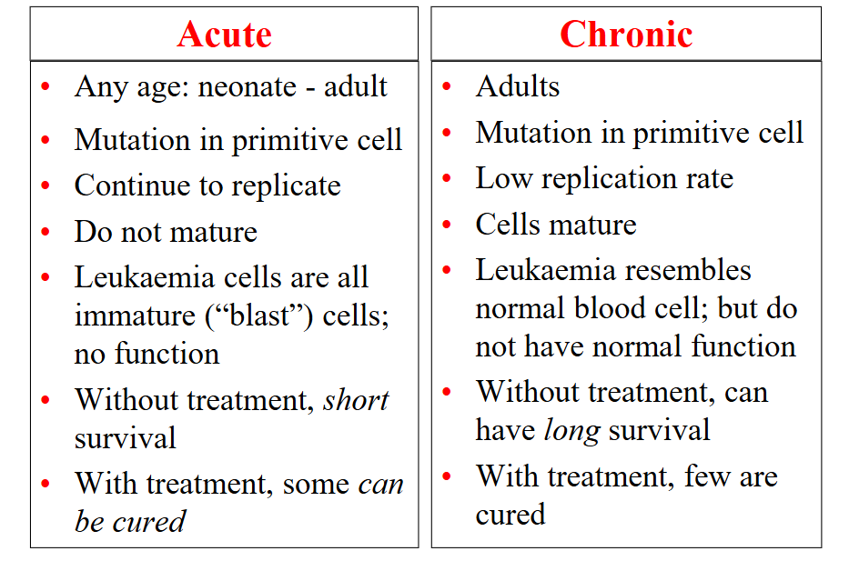 <p>DIAGRAM ON SLIDE 11</p>