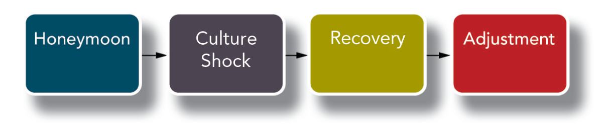 <ol><li><p><strong>Honeymoon</strong>: Initial fascination and euphoria as the employee enjoys the novelty of the new culture</p></li><li><p><strong>Culture shock</strong>: The disillusionment and discomfort that occurs during the process of adjusting to a new culture and its norms, values, and perspectives</p></li><li><p><strong>Recovery</strong>: If employees persist and continue learning about their host country’s culture, they can recover from shock and develop a greater understanding and a social network</p></li><li><p><strong>Adjustment</strong>: Finally, the employee’s language skills and comfort increase and they reach a stage where they accept and enjoy the host country’s culture</p></li></ol><p></p>