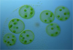 <p>What is this?</p>