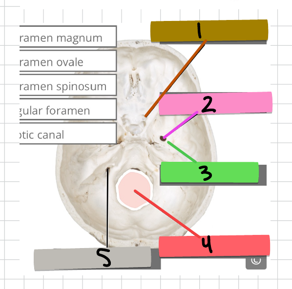 <p>4 and 5</p>