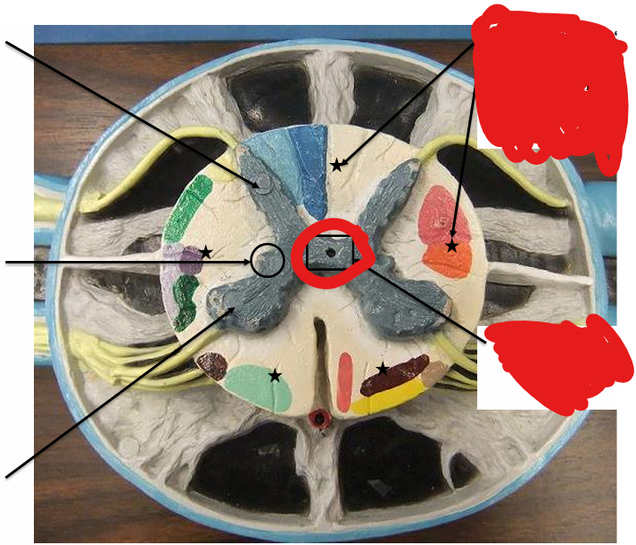 <p>What is this</p>