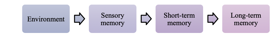 <p>modal model? 5 pts </p>