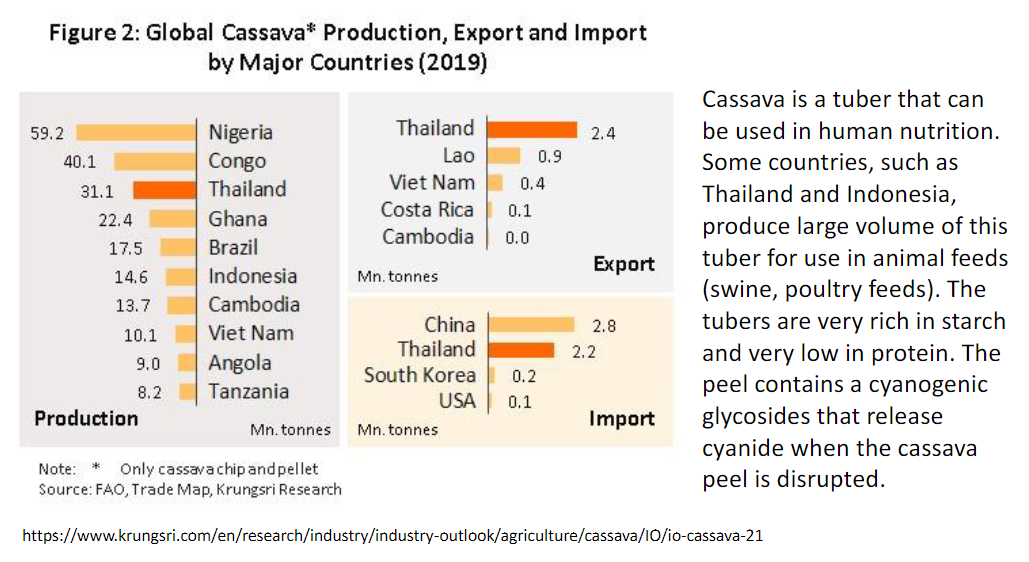 <p><strong>Uses</strong><br> • <strong>Cassava</strong> is a tuber that can be used in <strong>human nutrition</strong><br> • Countries such as <strong>Thailand and Indonesia</strong> produce large volumes of cassava for use in <strong>animal feeds</strong><br> • Used in <strong>swine and poultry feeds</strong></p><p><strong>Nutritional Composition</strong><br> • Tubers are very rich in <strong>starch</strong><br> • Very low in <strong>protein</strong></p><p><strong>Cassava Peel</strong><br> • Peel contains <strong>cyanogenic glycosides</strong><br> • When the peel is <strong>disrupted</strong>, these compounds release <strong>cyanide</strong></p>