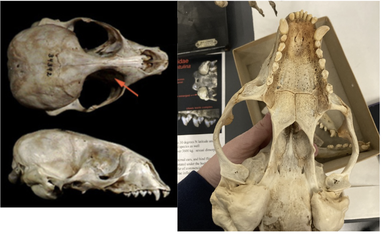 <p>What is this?</p>