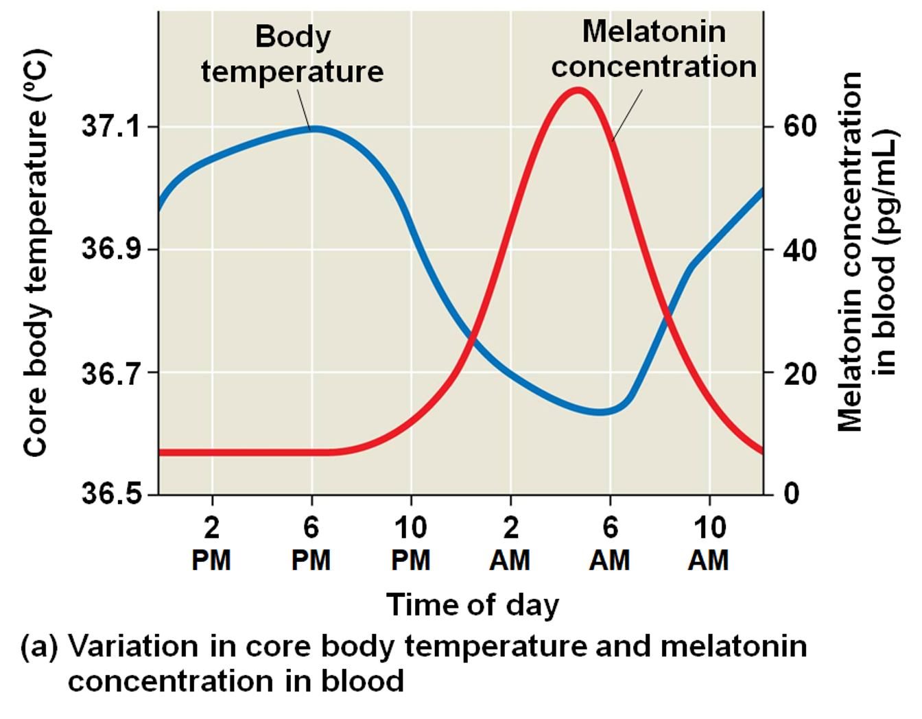 <p>How is Homeostasis altered?</p>